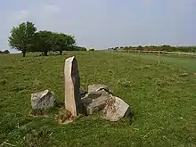 Standing stone and gallop, Overton Down