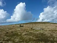 Standing stone and lying stone at Waun Mawn