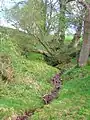 A view near the site of St Anne's Holy Well.