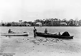 Fish haul, 1907