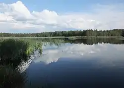 Pond in Helenowie