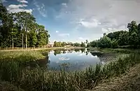 Dobrocin pond