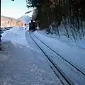 J E Henry Railroad with steam-powered locomotive on narrow-gauge railway