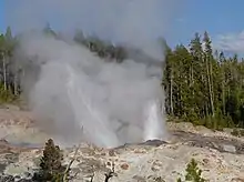 Steam shooting from ashen rocks with fir trees in the background.