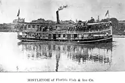 steamship in front of a coastline