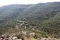 Forested mountains above Nahal Sorek