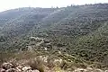 Valley to the south of Tur Shimon