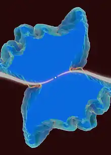 Central star has elongated S shaped curve of white emanating in opposite directions to the edge. A butterfly-like area surrounds the S shape with the S shape corresponding to the body of the butterfly.