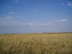 The steppes in Akmola Province, Kazakhstan.
