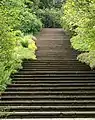 Flight of Steps, Dartington Hall Gardens