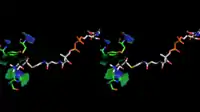 Stereoscopic depiction of choline and acetyl-CoA bound in ChAT active site - alternate angle. (PDB: 2FY3​, PDB: 2FY5​ - overlaid).