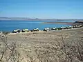 A campsite with chalets at the water's edge of the Sterkfontein Dam reservoir within the reserve. Note the dry conditions (conducive to bush fires) in the wintertime.