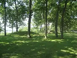 Sinnissippi Mounds