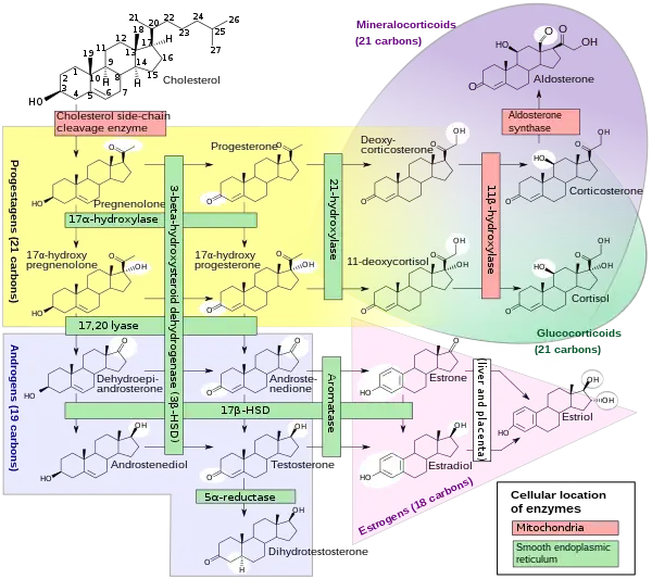 Chemical-diagram flow chart