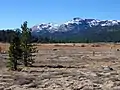 Northeast aspect of Stevens Peak (right of center) from Hope Valley