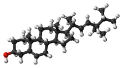 Ball-and-stick model of stigmasterol