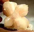 Intergrown pinkish stilbite crystals showing the "bow-tie" tendency from Jalgaon District, Maharashtra, India.