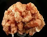 Reddish-orange Stilbite-Ca from Jalgaon District, Maharashtra, India