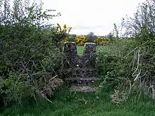 19th century concrete stile,(v1) Mass-Path, Ranaghan, Collinstown