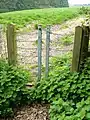 A rambler gate near Kingstone, Somerset