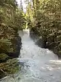 Sticta Falls on Falls Creek