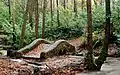 Clare Glen Forest, Tandragee