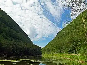 A pond with a white tree on the right in the foreground and two steep wooded mountainsides, one in shadow and the other in sunlight, in the background.