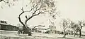 Storefronts in Llano, Texas around 1912, from an old postcard.