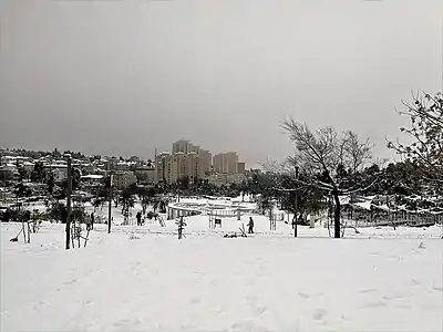 Sacher Park in Jerusalem, covered with snow