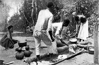 Melting latex of rubber in the forest of Lusambo