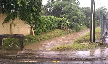 Stream near San Patricio Plaza in Pueblo Viejo barrio