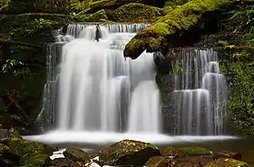 Strickland Falls in Tasmania, Australia, taken using a neutral density filter. ND filters reduce light from the entire visible spectrum equally, allowing an increase in aperture and decrease in shutter speed without overexposing the image. To create the motion blur seen here, the shutter must be kept open for a relatively long time, making it necessary to reduce the amount of light coming through the lens.