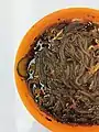 Sì chuān suān là fěn (Hot and sour noodles) made with Fensi or Hongshufen