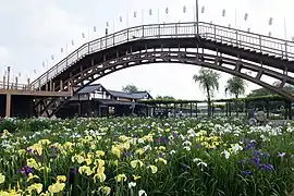 A view of Suigō Itako Iris Garden