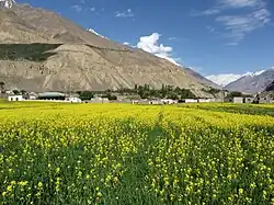 Shimshal in Summer