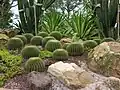 The Sun Garden (formerly known as the Sun Rockery)