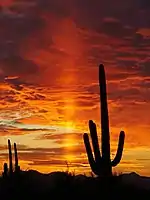 Sunset with prominent sun pillar near Tucson, Arizona.
