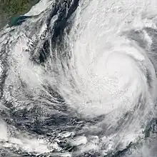 Satellite image of a tropical cyclone; though the storm itself is centered at right, its visage takes up most of the image, with its sprawling rainbands extending across the image.