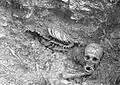 Skeleton from Duboka Dolina
