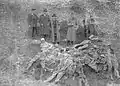 Corpses exhumed in Duboka Dolina