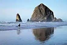 Surfer near Haystack Rock