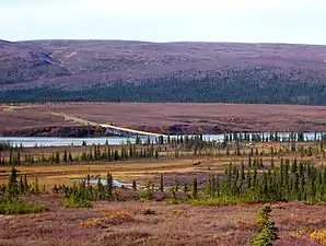 The Susitna River bridge on the Denali Highway is 1,036 feet (316 m) long.