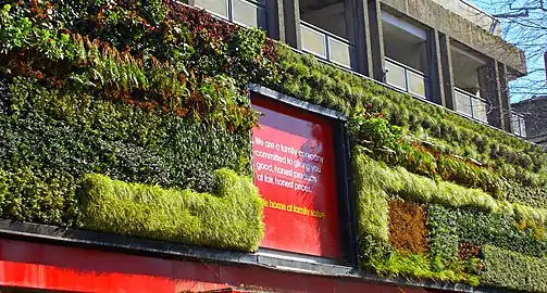The Green Wall on Sutton High Street