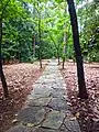 Path leading to Ambrose the Stone Elephant