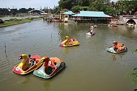 Swan pedalo rides at archipelago lake