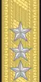 Generallöjtnant(Swedish Amphibious Corps)