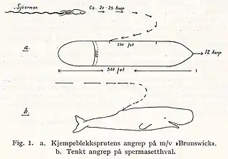 #106 (1930–1933)Arne Grønningsæter's sketch of his supposed encounter with a giant squid in the open ocean between Hawaii and Samoa in 1930–1933 (Grønningsæter, 1946:380, fig. 1). The animal was observed swimming at 20–25 kn (37–46 km/h) alongside a 15,000-ton freighter before turning towards the ship, colliding with the hull, skidding along it, and being ground to pieces by the propeller.