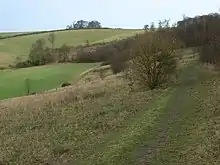 Swyncombe Downs