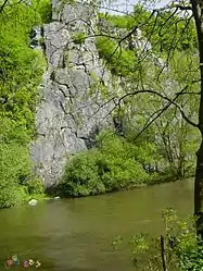 Rocks at the Ourthe near Sy