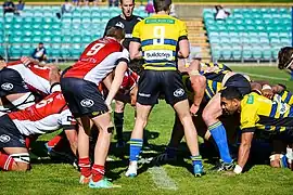 Sydney Stars feed the scrum